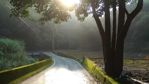 秒速五釐米的摔車