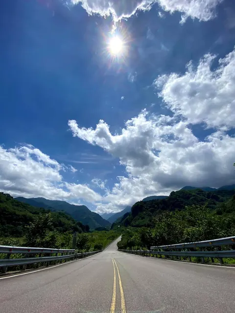 森林系求學的荒唐與自由