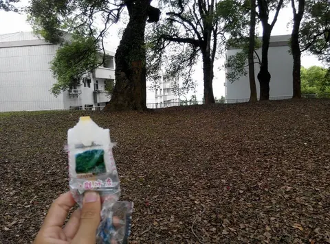 走路練習:集集水里