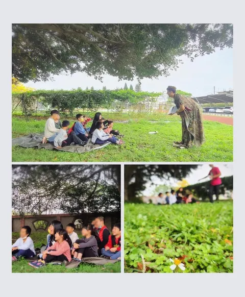 紅果子樹