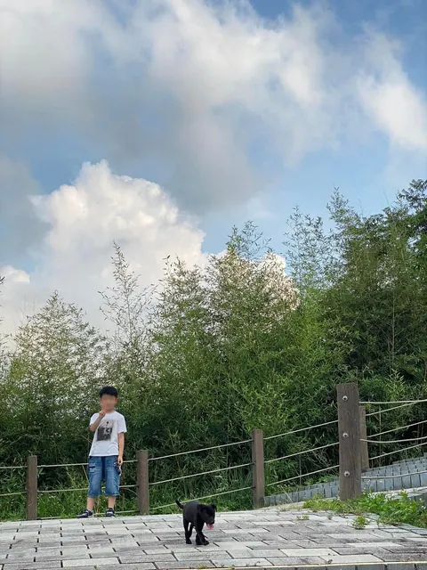 先去看再寫