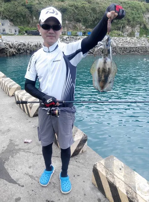 軟絲上岸